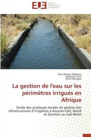 Gestion de l'Eau Sur Les P rim tres Irrigu s En Afrique