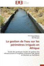 Gestion de l'Eau Sur Les P rim tres Irrigu s En Afrique
