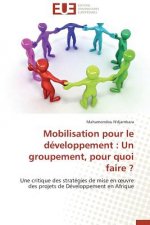 Mobilisation Pour Le D veloppement