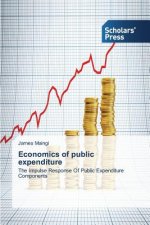 Economics of Public Expenditure