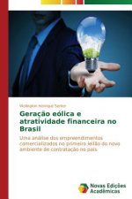Geracao eolica e atratividade financeira no Brasil