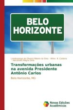 Transformacoes urbanas na avenida Presidente Antonio Carlos