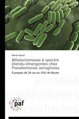 Betalactamases A Spectre Etendu Emergentes Chez Pseudomonas Aeruginosa