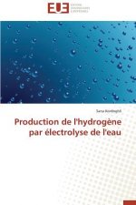 Production de l'Hydrog ne Par  lectrolyse de l'Eau