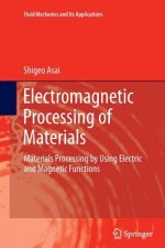 Electromagnetic Processing of Materials