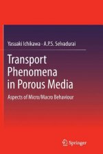 Transport Phenomena in Porous Media