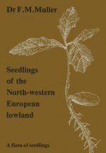 Seedlings of the North-Western European Lowland