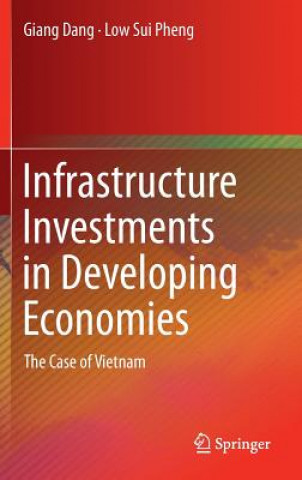 Infrastructure Investments in Developing Economies