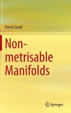 Non-metrisable Manifolds