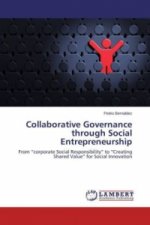 Collaborative Governance through Social Entrepreneurship