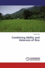 Combining Ability and Heterosis of Rice