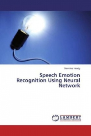 Speech Emotion Recognition Using Neural Network