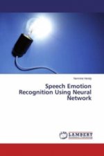 Speech Emotion Recognition Using Neural Network