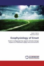 Ecophysiology of Enset