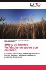 Efecto de fuentes fosfatadas en suelos con calcareo
