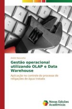 Gestao operacional utilizando OLAP e Data Warehouse