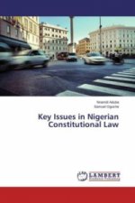 Key Issues in Nigerian Constitutional Law