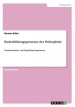 Bodenbildungsprozesse der Pedosphare
