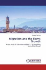 Migration and the Slums Growth