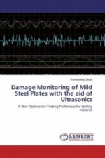 Damage Monitoring of Mild Steel Plates with the aid of Ultrasonics