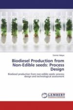 Biodiesel Production from Non-Edible seeds: Process Design