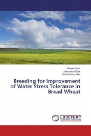 Breeding for Improvement of Water Stress Tolerance in Bread Wheat