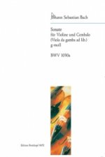 Sonate g-moll BWV 1030a, für Violine und Cembalo (Viola da gamba ad lib.)