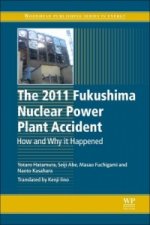 2011 Fukushima Nuclear Power Plant Accident