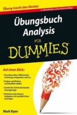UEbungsbuch Analysis fur Dummies