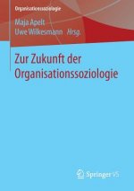 Zur Zukunft Der Organisationssoziologie