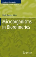 Microorganisms in Biorefineries