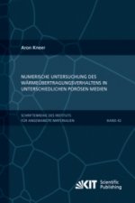 Numerische Untersuchung des Warmeubertragungsverhaltens in unterschiedlichen poroesen Medien