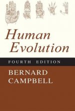 Human Evolution