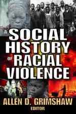 Social History of Racial Violence