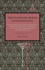 Passenger Pigeon in Pennsylvania