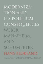 Modernization and Its Political Consequences