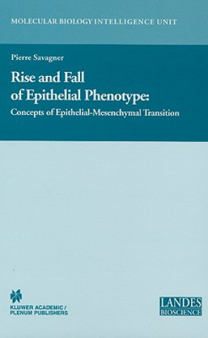 Rise and Fall of Epithelial Phenotype