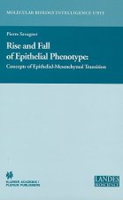 Rise and Fall of Epithelial Phenotype