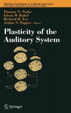 Plasticity of the Auditory System