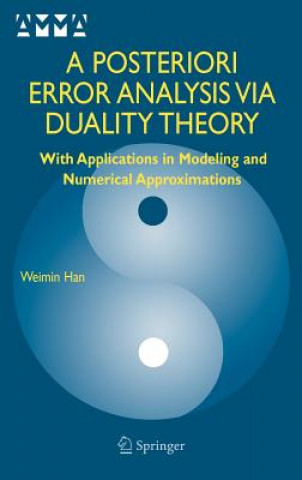 Posteriori Error Analysis Via Duality Theory