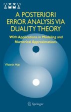 Posteriori Error Analysis Via Duality Theory