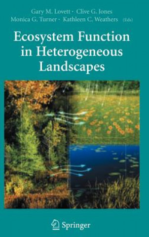 Ecosystem Function in Heterogeneous Landscapes