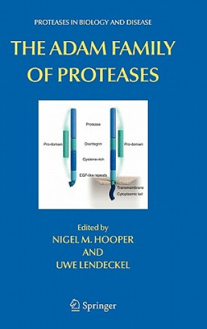 ADAM Family of Proteases