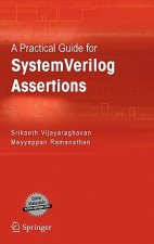 Practical Guide for SystemVerilog Assertions