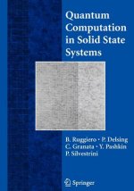 Quantum Computing in Solid State Systems