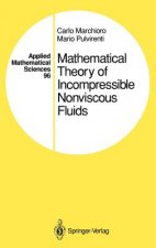 Mathematical Theory of Incompressible Nonviscous Fluids