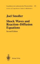 Shock Waves and Reaction-Diffusion Equations