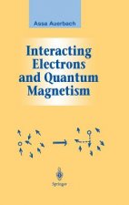 Interacting Electrons and Quantum Magnetism