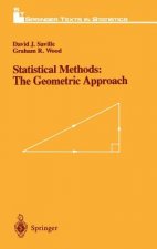 Statistical Methods: The Geometric Approach
