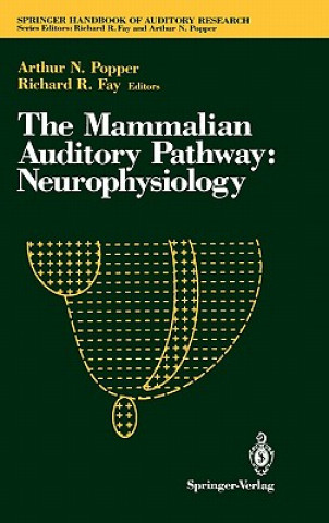 Mammalian Auditory Pathway: Neurophysiology